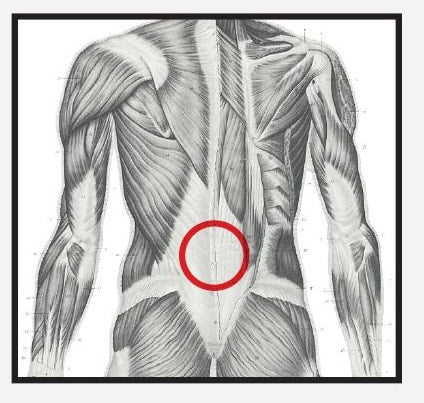 Re+ Techniques - Low Back Pain